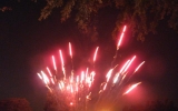 DSCN3081