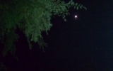 IMAG0205