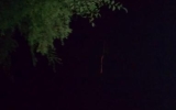 IMAG0211