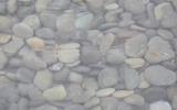 P1152222