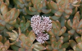 P1152238