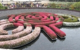 P1152240