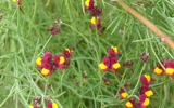 P1152242