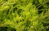 P1152253