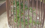 P1152254