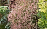 P1152255