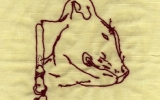 Cheecheydrawing_back_scrp