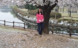 Peggy_cherryBlossoms_042014